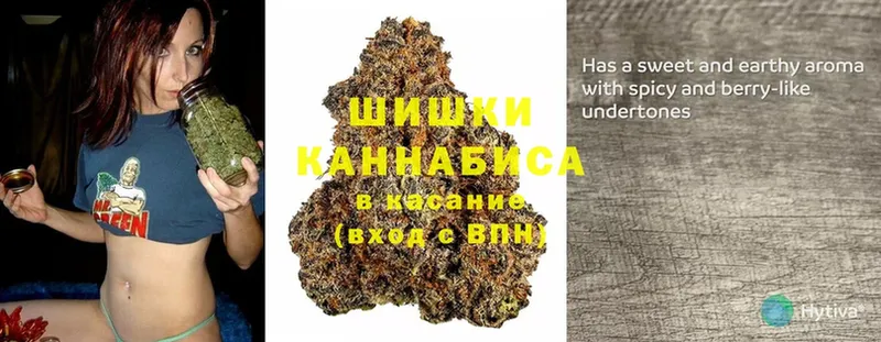 Бошки марихуана Bruce Banner  Буйнакск 